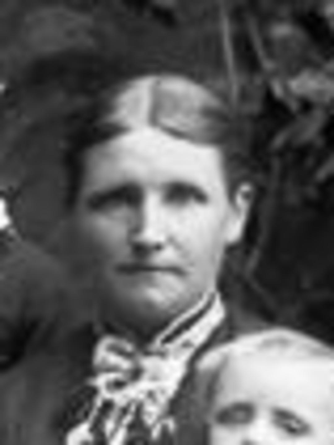 Caroline Johanne Nielsen (1852 - 1927) Profile
